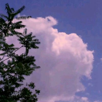 战痕果盘版下载